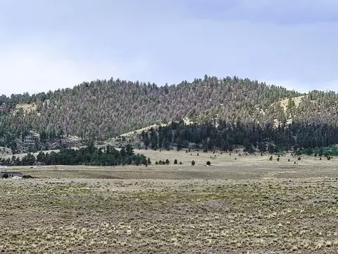 384 Cathy Dr, Hartsel, CO 80449 photo 18