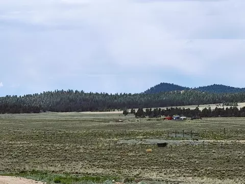 384 Cathy Dr, Hartsel, CO 80449 photo 19