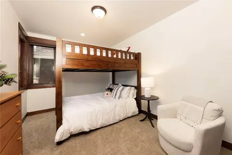 264 Stonefly Dr, Silverthorne, CO 80498 photo 23