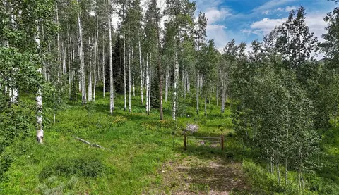 59395 Cripple Creek Ct, Clark, CO 80428