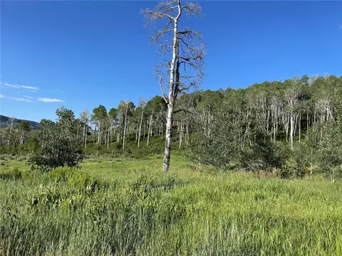 27200 Frisco Pl, Clark, CO 80428