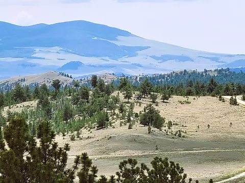 1051 Arapahoe Trl, Hartsel, CO 80449