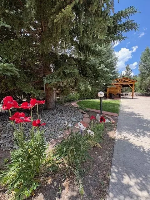 85 Revett Apt 347 Dr, Breckenridge, CO 80424