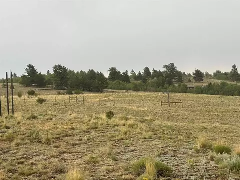 1310 Mcdowell Dr, Como, CO 80432 photo 17