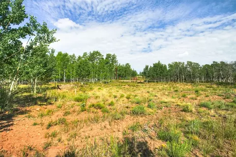 240 Beaver Ln, Fairplay, CO 80440