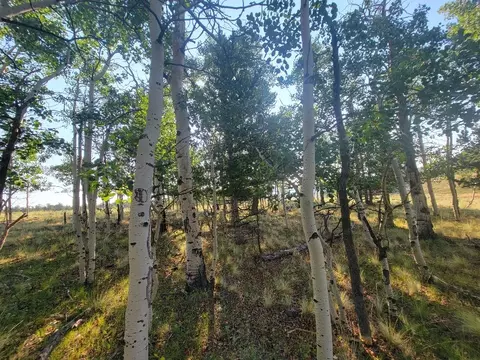 1630 Wampum Ln, Como, CO 80432 photo 12