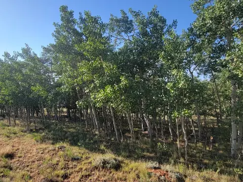 1630 Wampum Ln, Como, CO 80432 photo 34
