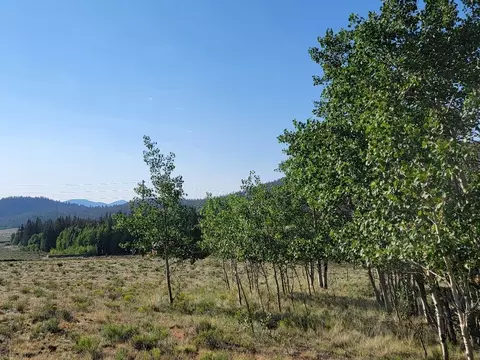 1630 Wampum Ln, Como, CO 80432 photo 32