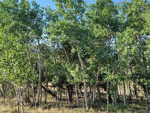 1630 Wampum Ln, Como, CO 80432 photo 10