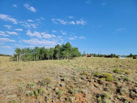 1630 Wampum Ln, Como, CO 80432 photo 4