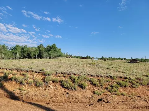 1630 Wampum Ln, Como, CO 80432 photo 18