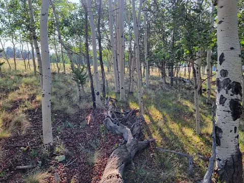 1630 Wampum Ln, Como, CO 80432 photo 7