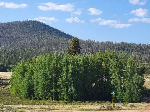 1630 Wampum Ln, Como, CO 80432 photo 3