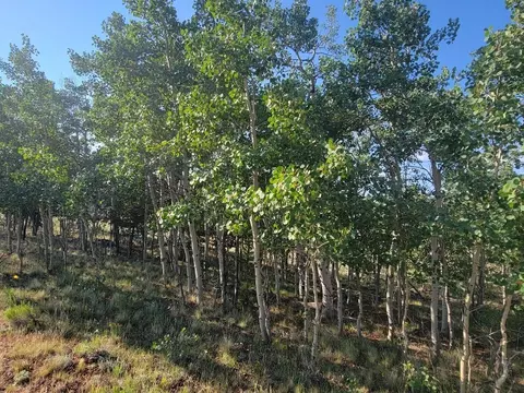 1630 Wampum Ln, Como, CO 80432 photo 35