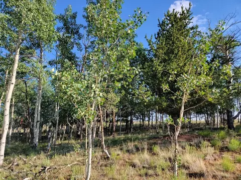 1630 Wampum Ln, Como, CO 80432 photo 41