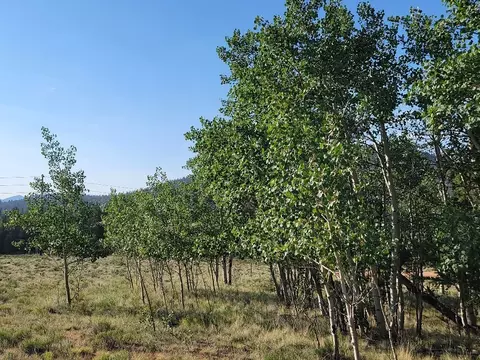1630 Wampum Ln, Como, CO 80432 photo 31