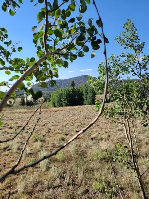 1630 Wampum Ln, Como, CO 80432 photo 40