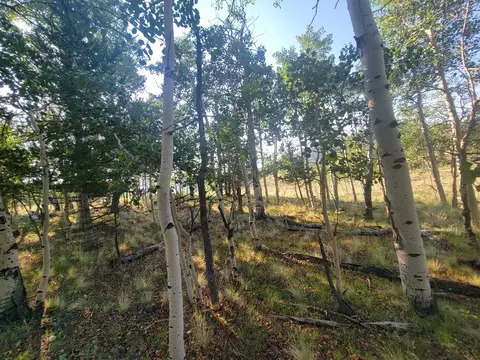 1630 Wampum Ln, Como, CO 80432 photo 39