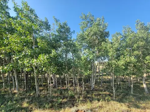 1630 Wampum Ln, Como, CO 80432 photo 36