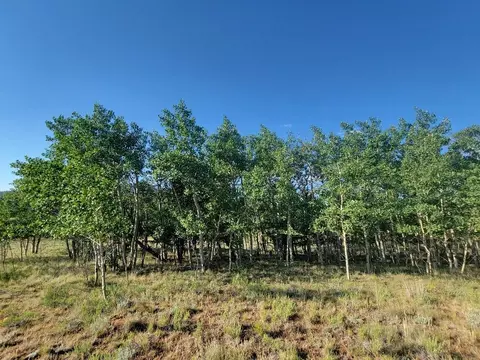 1630 Wampum Ln, Como, CO 80432 photo 30