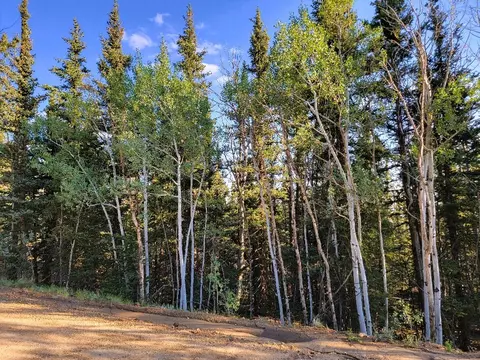 1071 Apache Trl, Como, CO 80432 photo 2