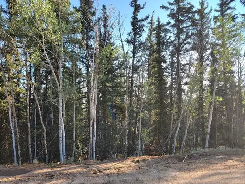 1071 Apache Trl, Como, CO 80432 photo 15