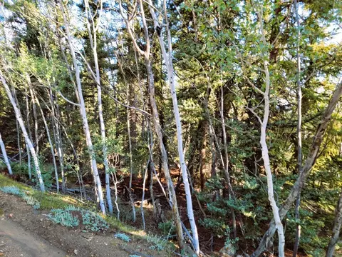 1071 Apache Trl, Como, CO 80432 photo 6