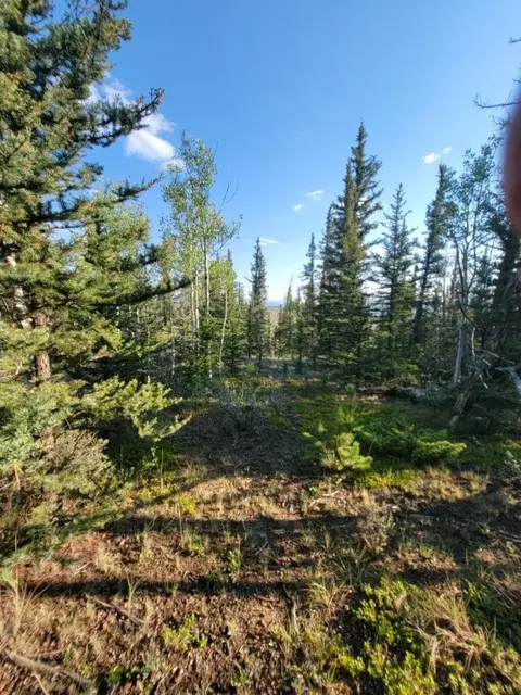 1071 Apache Trl, Como, CO 80432 photo 12