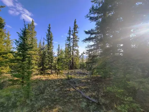 1071 Apache Trl, Como, CO 80432 photo 11