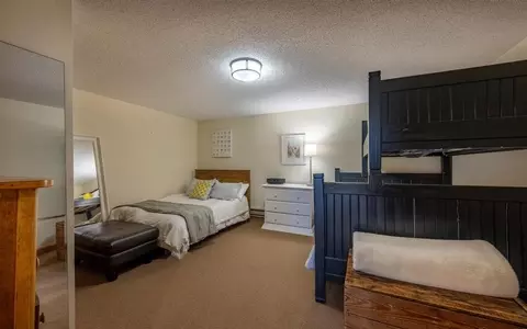 326 Springbeauty Dr, Silverthorne, CO 80498 photo 23