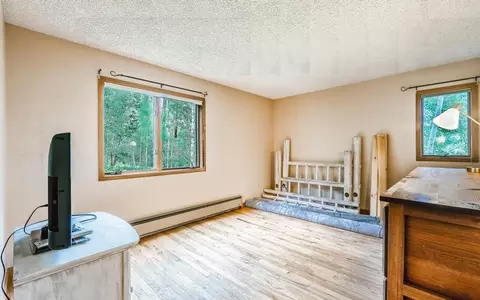 326 Springbeauty Dr, Silverthorne, CO 80498 photo 17