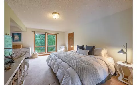 326 Springbeauty Dr, Silverthorne, CO 80498 photo 10