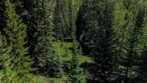 0289 County Road 535, Breckenridge, CO 80424