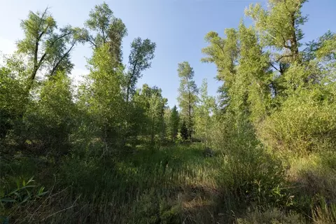 115 Game Trail Rd, Silverthorne, CO 80498 photo 26