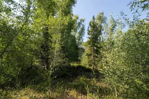 115 Game Trail Rd, Silverthorne, CO 80498 photo 20