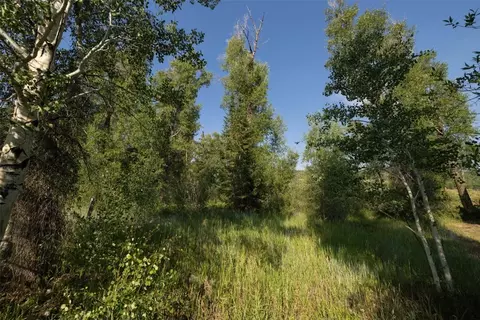 115 Game Trail Rd, Silverthorne, CO 80498 photo 19