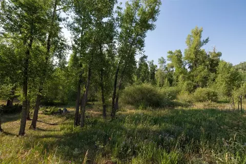 115 Game Trail Rd, Silverthorne, CO 80498 photo 23