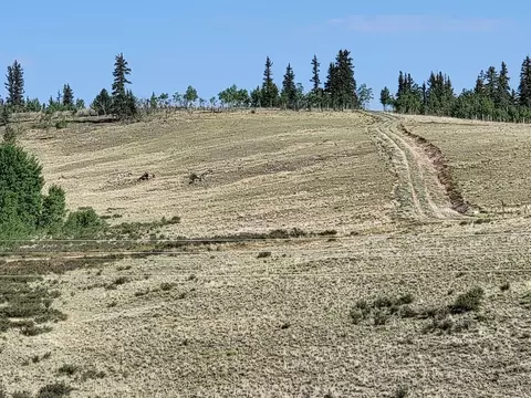 2475 W Longbow Dr, Como, CO 80432 photo 24