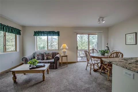 44 Ryan Gulch Rd #A1, Silverthorne, CO 80498 photo 11