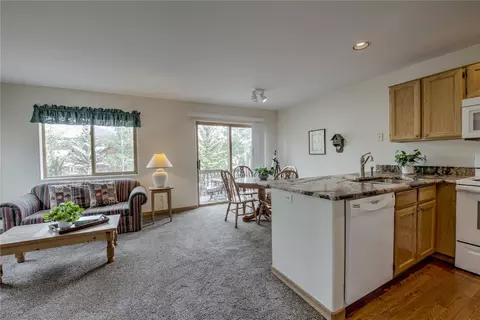 44 Ryan Gulch Rd #A1, Silverthorne, CO 80498 photo 3