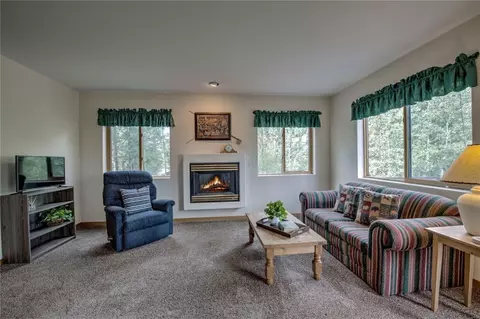 44 Ryan Gulch Rd #A1, Silverthorne, CO 80498 photo 31