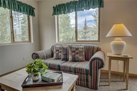 44 Ryan Gulch Rd #A1, Silverthorne, CO 80498 photo 28