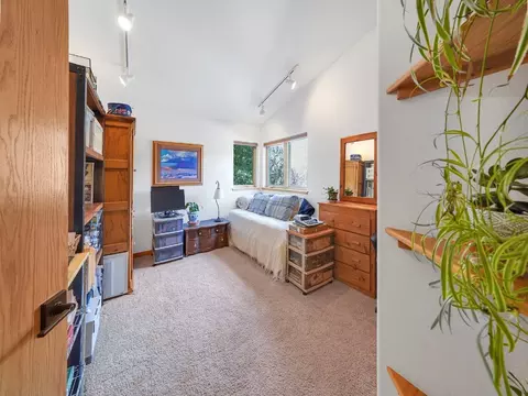 1141 Rainbow Dr, Silverthorne, CO 80498 photo 21