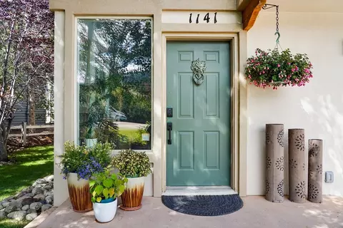1141 Rainbow Dr, Silverthorne, CO 80498