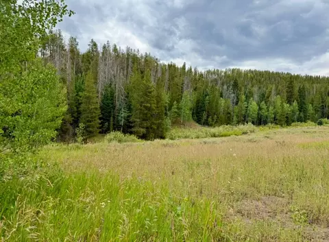 32514 Ute Trl, Oak Creek, CO 80467