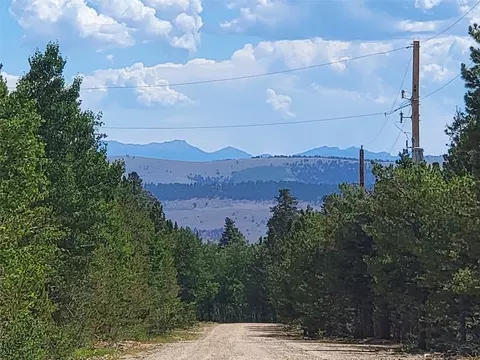 544 Circle 73 Dr, Fairplay, CO 80440