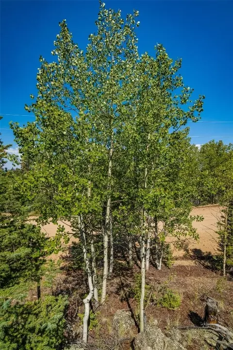 323 N Quarter Horse Rd, Como, CO 80456 photo 13