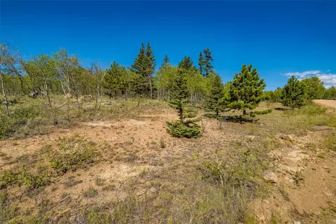 323 N Quarter Horse Rd, Como, CO 80456 photo 9
