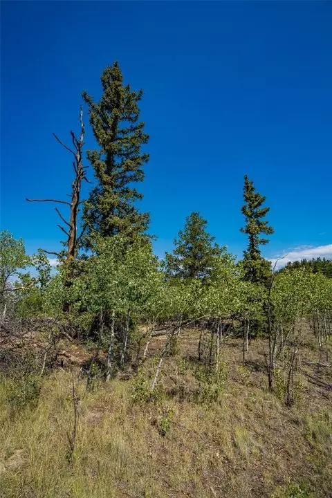 323 N Quarter Horse Rd, Como, CO 80456 photo 11