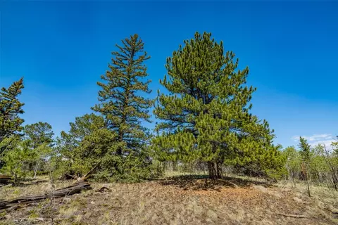 323 N Quarter Horse Rd, Como, CO 80456 photo 6